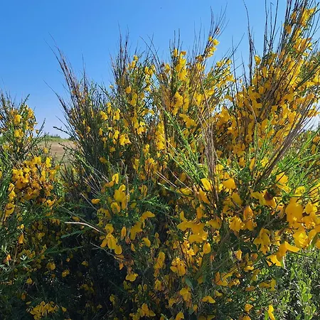 6 Person In Ulfborg-by Traum Fjand Garde